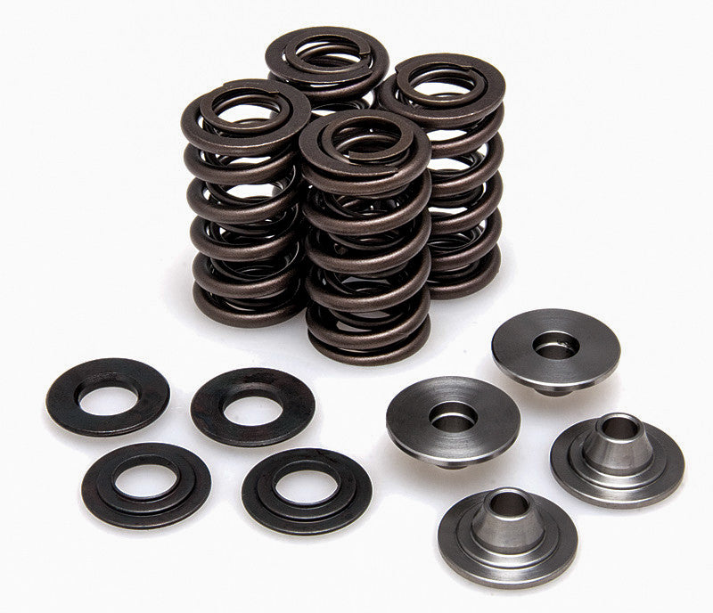 KPMI Racing Valve Spring Kit