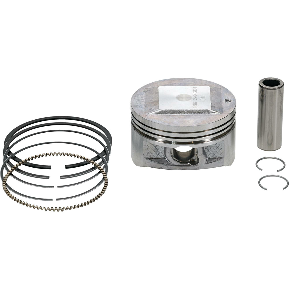 VERTEX Piston Kit (1)