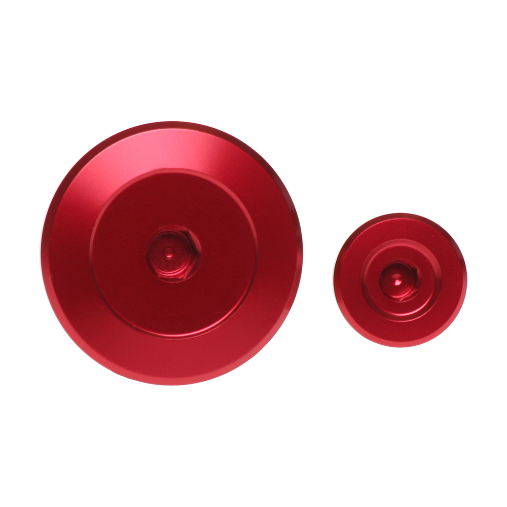 RFX Engine Plugs