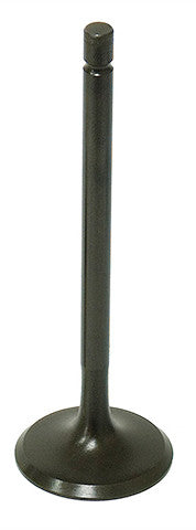 NAMURA Intake Valve