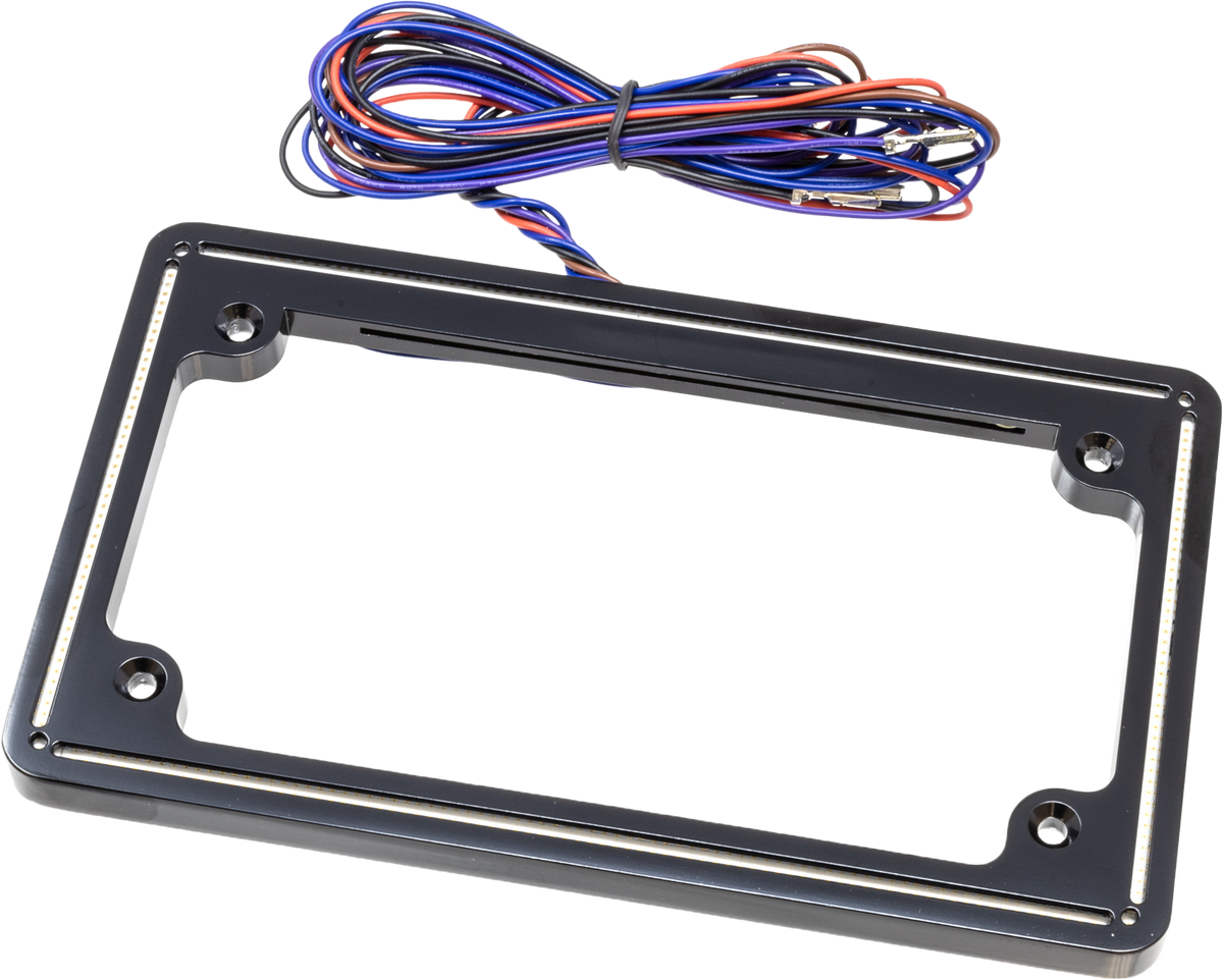 LETRIC LIGHTING CO Perfect Plate Light