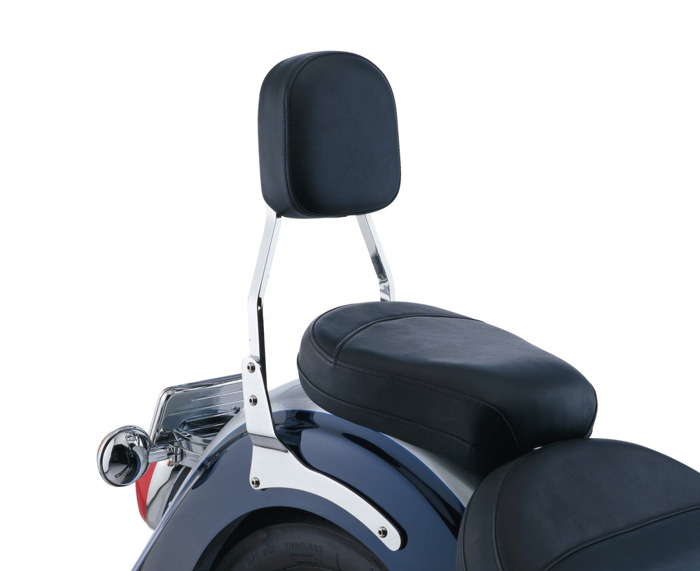 COBRA Std Sissy Bar