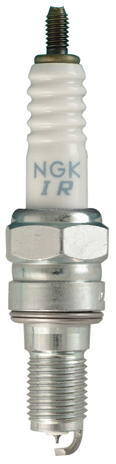 NGK Spark Plug (2)