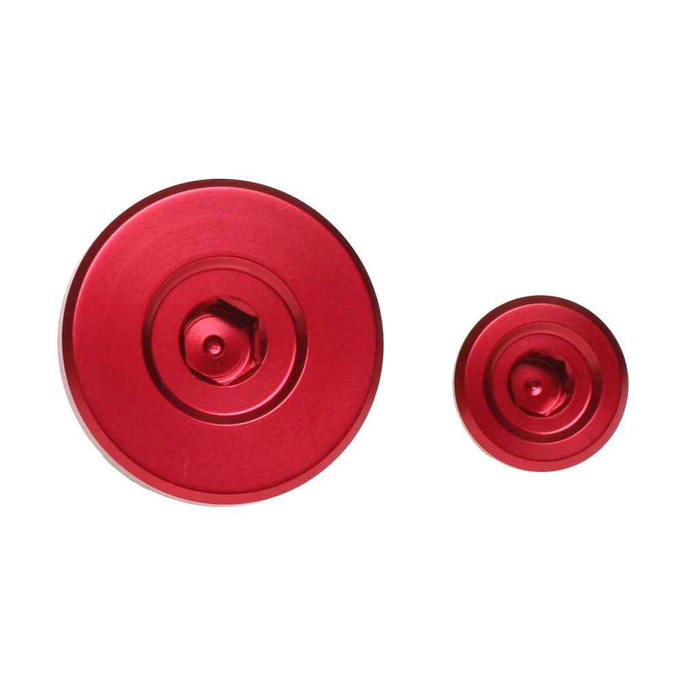 RFX Engine Plugs