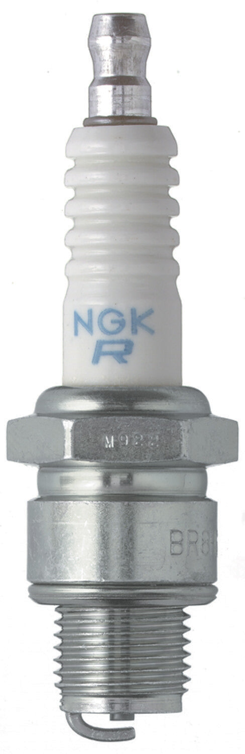NGK Spark Plug (1)