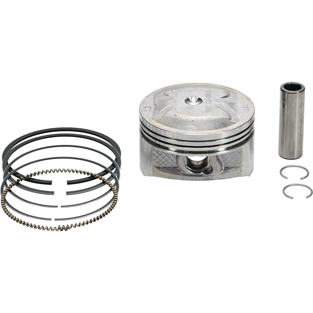 VERTEX Piston Kit (1)