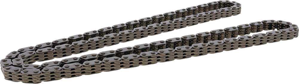HOT CAMS Cam Chain