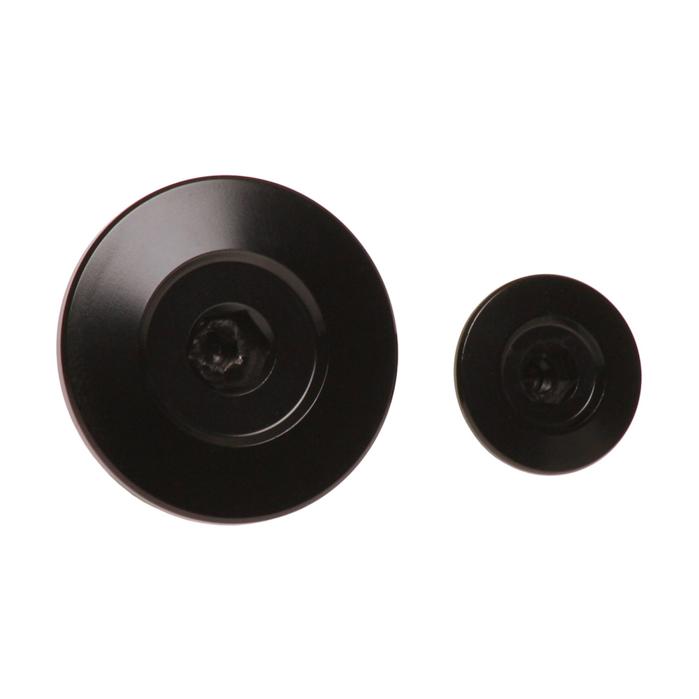 RFX Engine Plugs