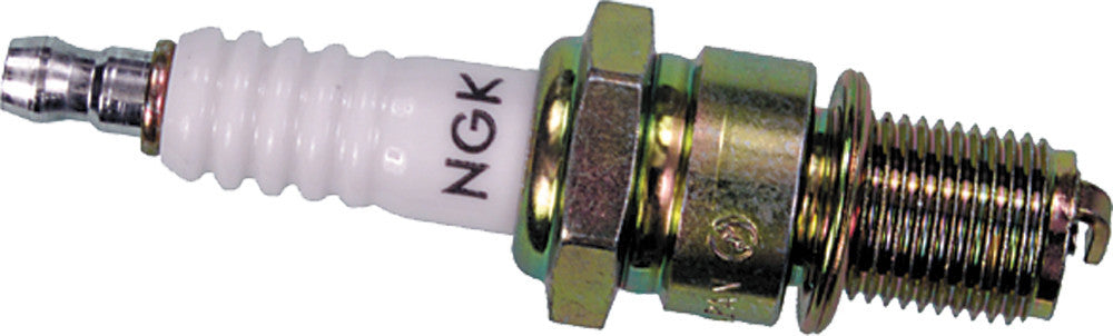 NGK Spark Plug (2)