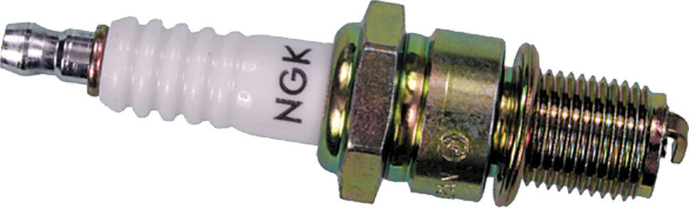 NGK Spark Plug (2)