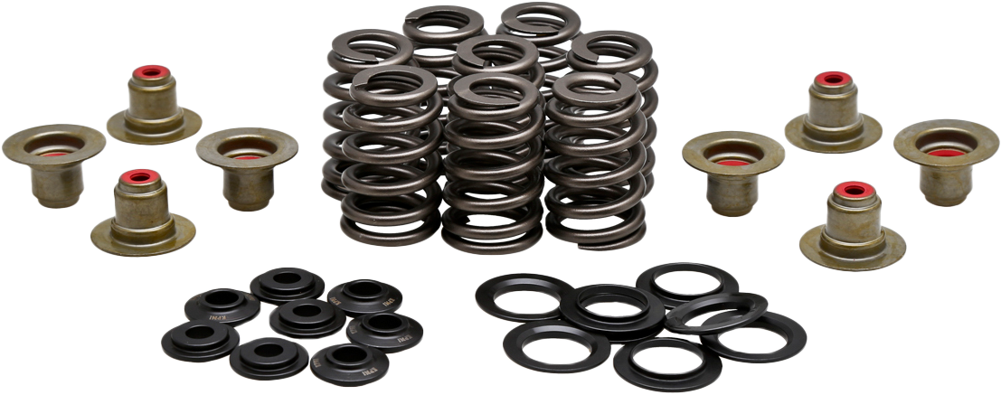 KPMI BEEHIVE VALVE SPRING KIT .550 LIFT M8`17-24 NON VVT