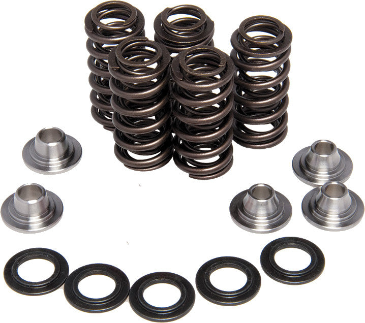 KPMI Racing Valve Spring Kit