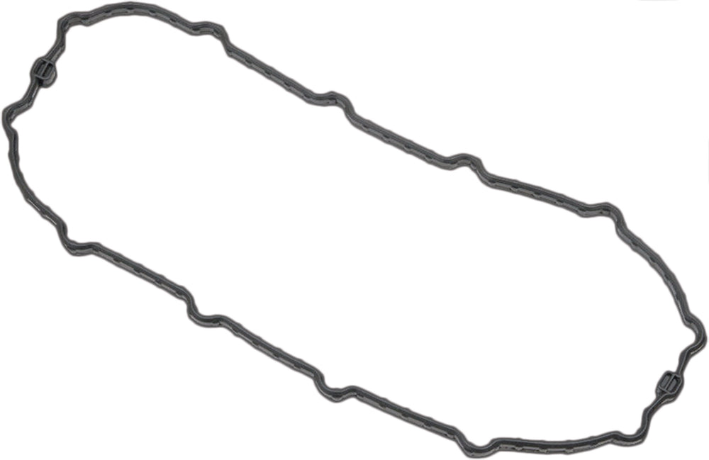 HARDDRIVE Fuel Pump Door Gasket