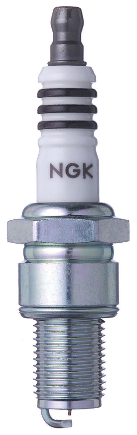 NGK Spark Plug (1)