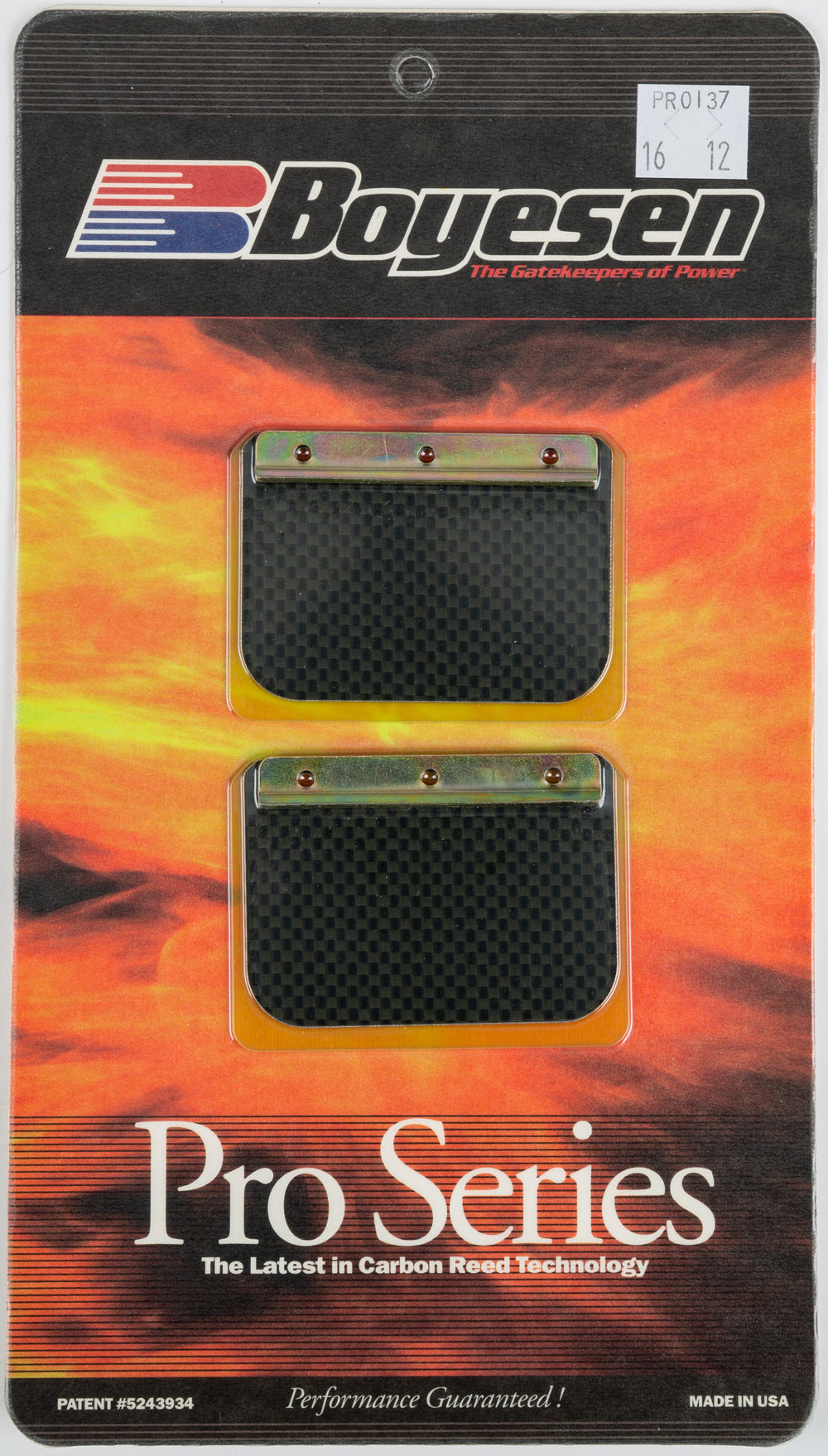 BOYESEN Boyesen Rage Cages