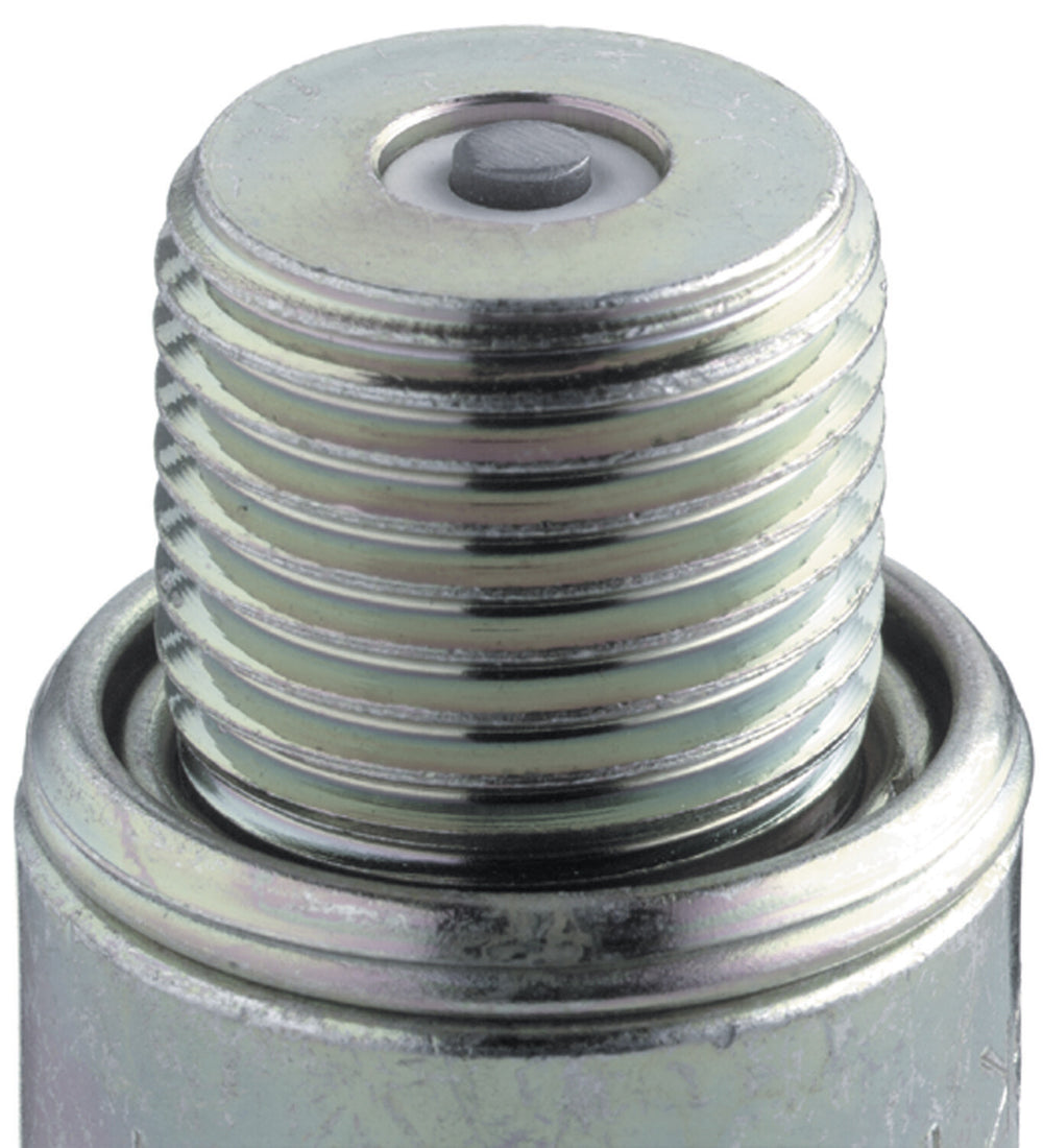NGK Spark Plug (1)