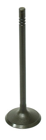 NAMURA Intake Valve