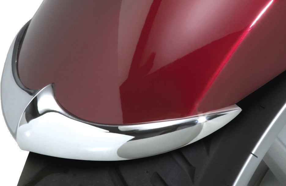 NATIONAL CYCLE Cast Fender Tip