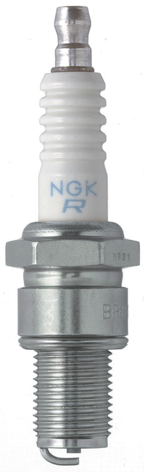 NGK Spark Plug (1)