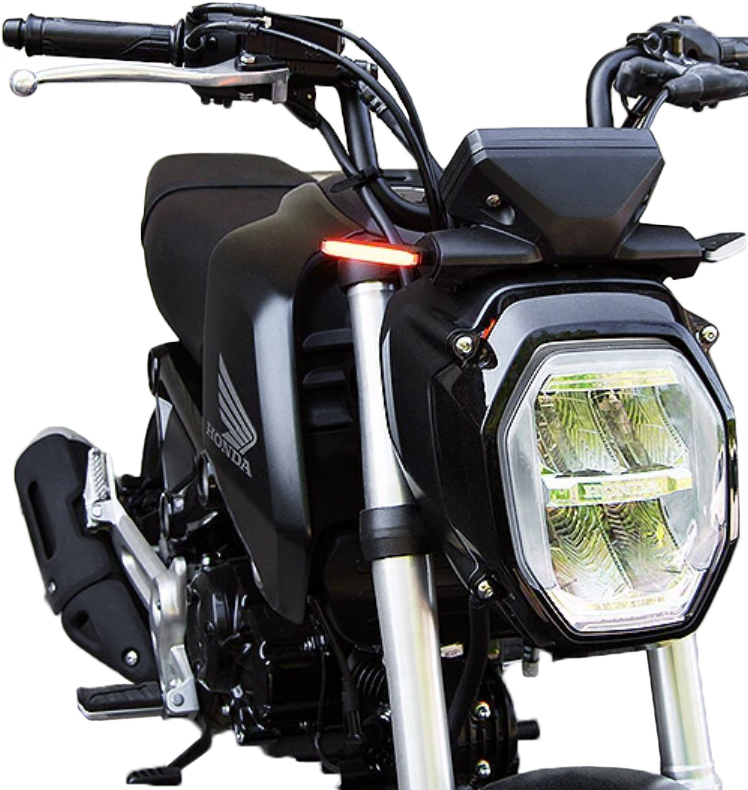 NEW RAGE CYCLES Front LED Turn Signals