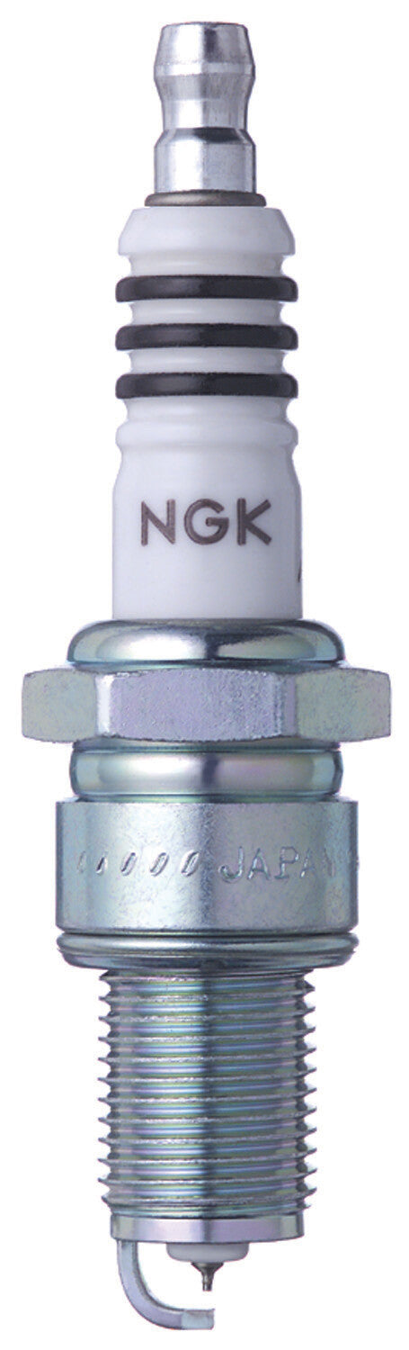 NGK Spark Plug (1)