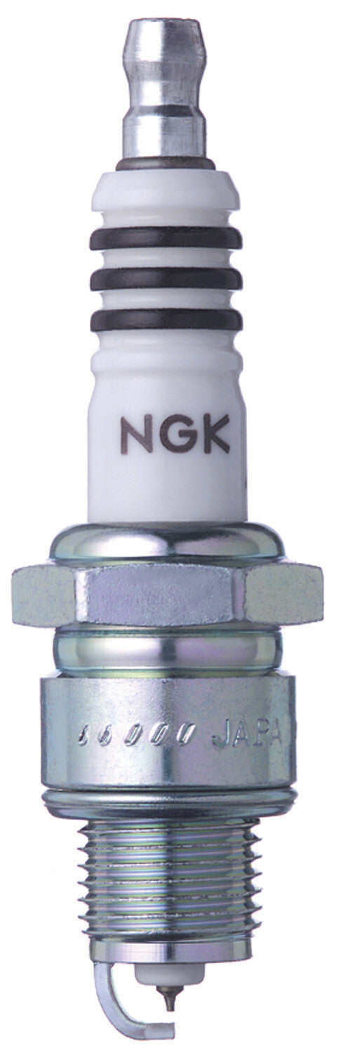 NGK Spark Plug (1)