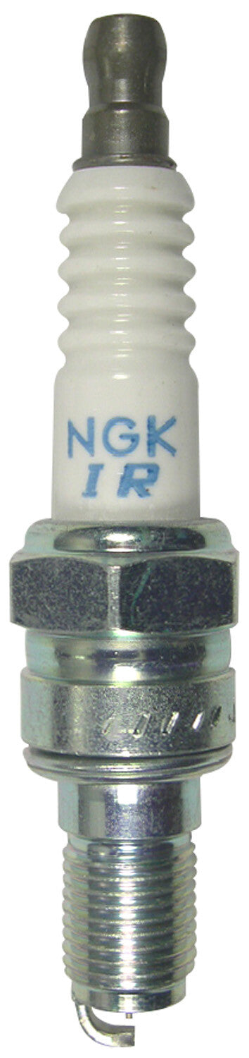 NGK Spark Plug (2)