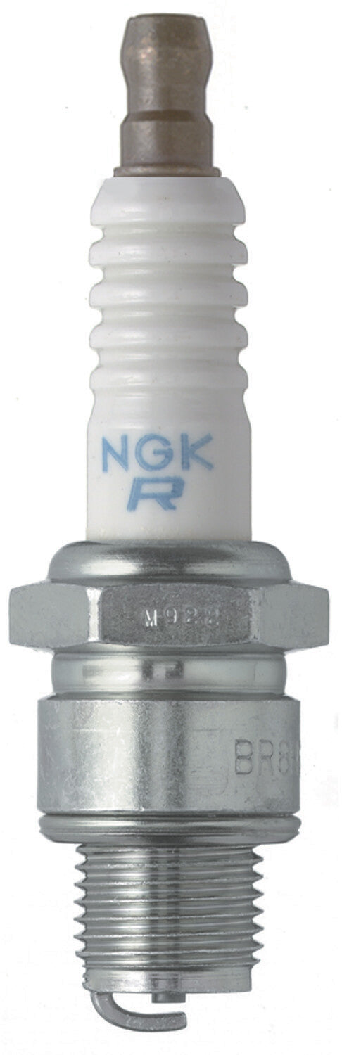 NGK Spark Plug (1)