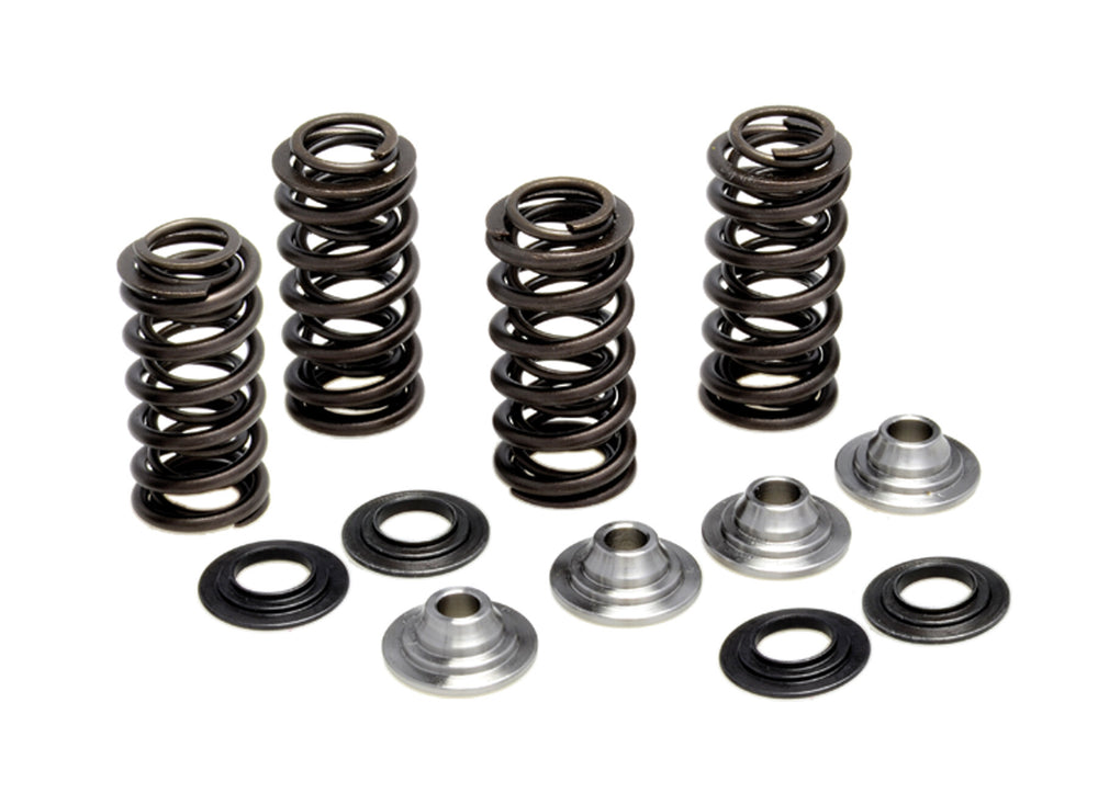 KPMI Racing Valve Spring Kit
