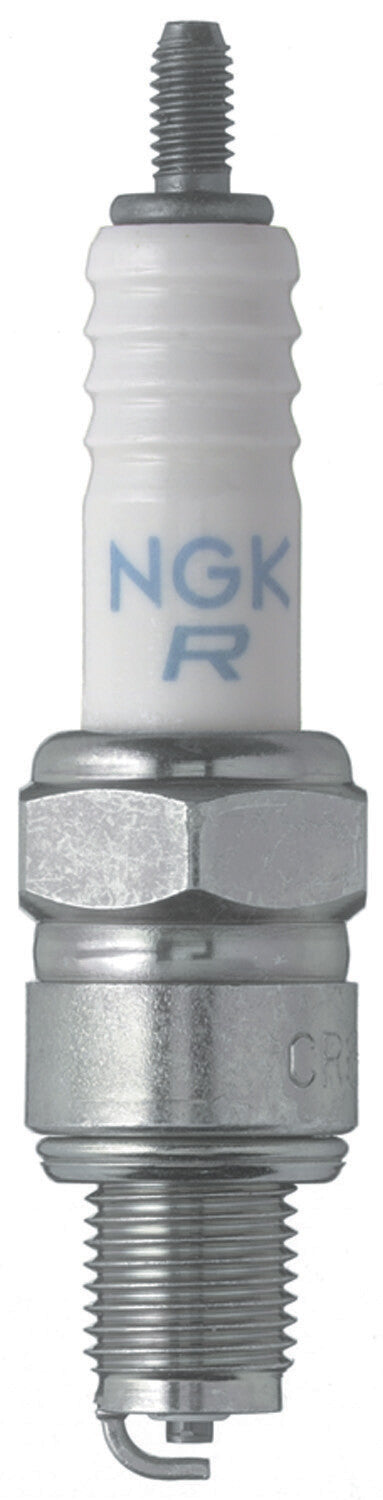 NGK Spark Plug (1)