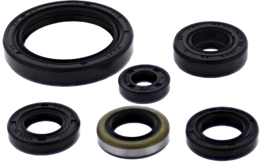 VERTEX Oil Seal Set