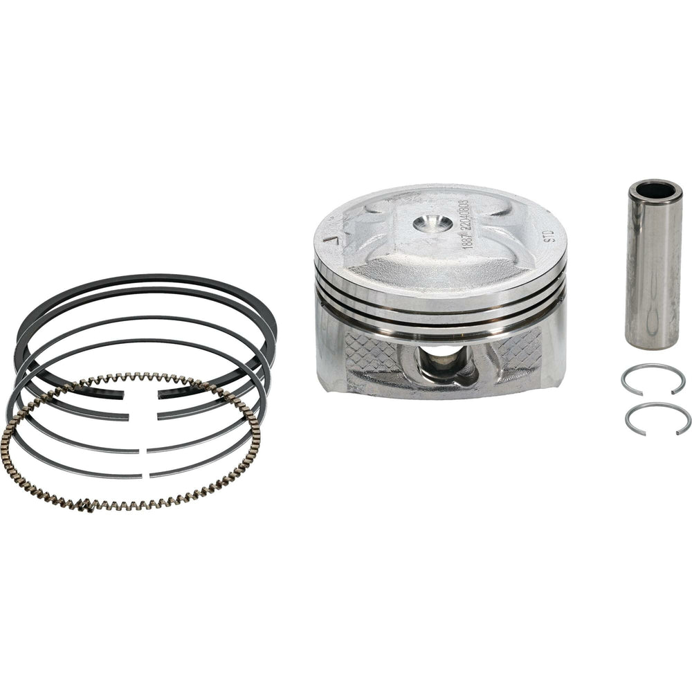 VERTEX Piston Kit (1)