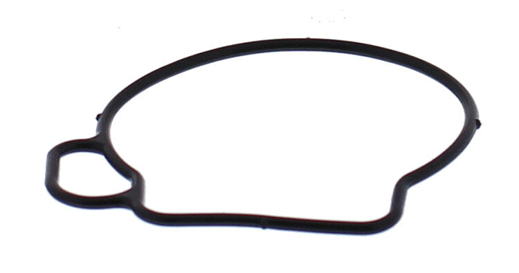 ALL BALLS FLOAT BOWL GASKET ONLY