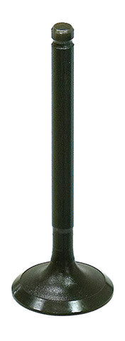 NAMURA Intake Valve