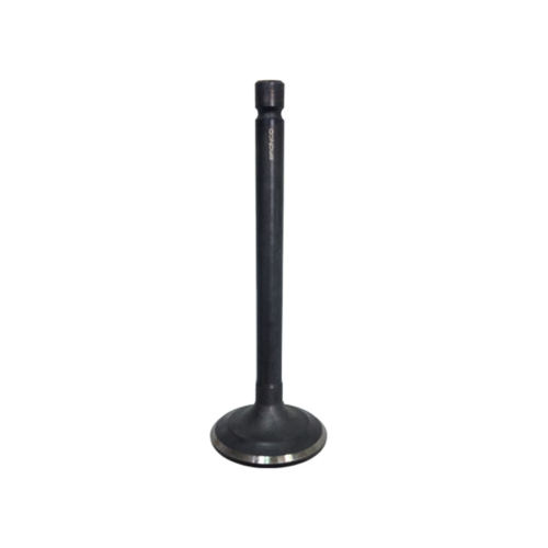 NAMURA Intake Valve