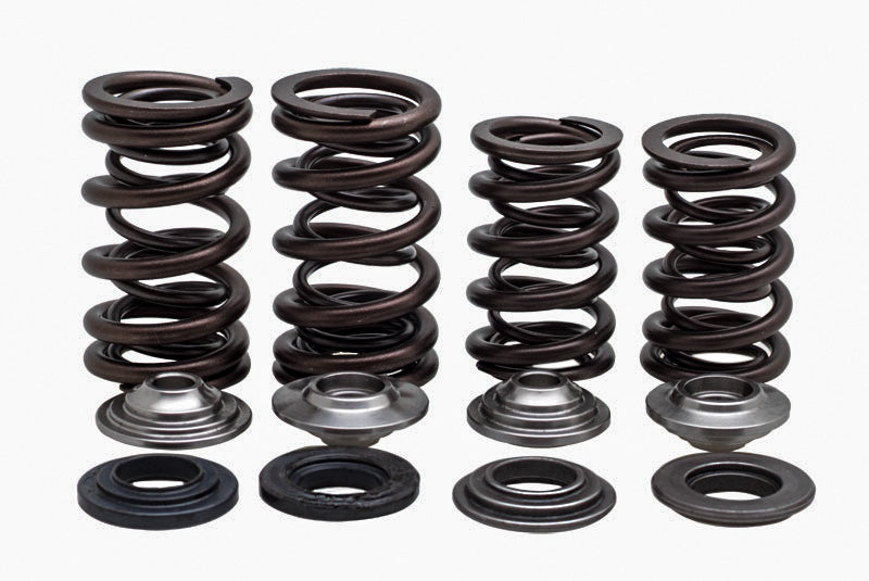 KPMI Racing Valve Spring Kit
