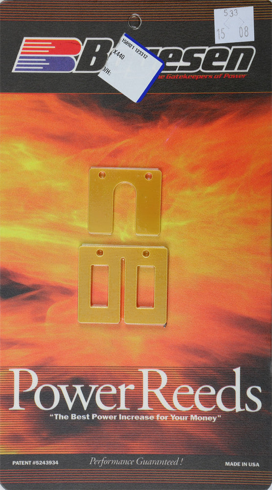 BOYESEN Dual Stage Power Reeds