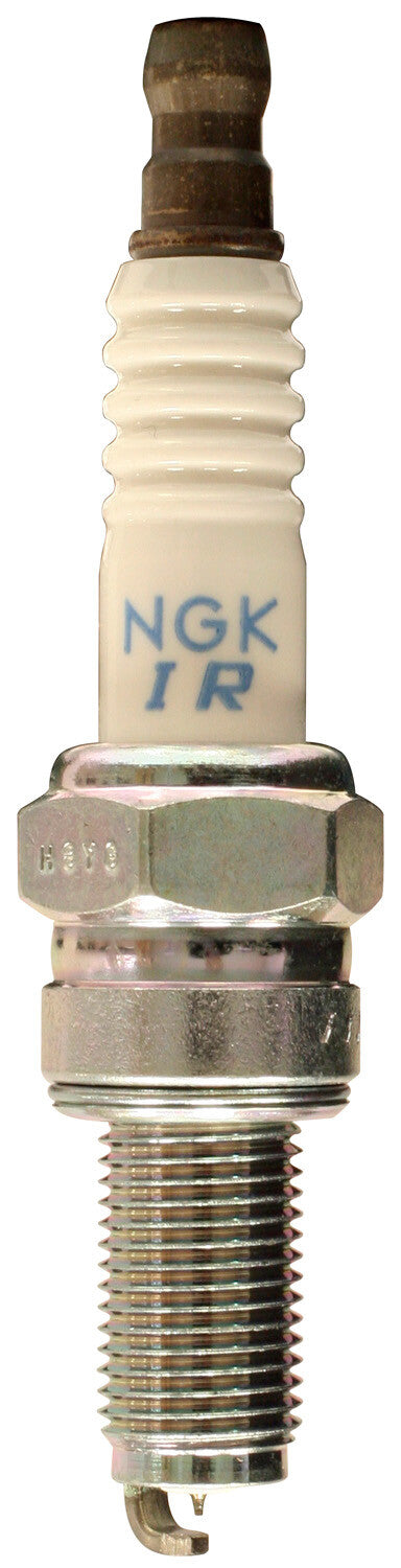NGK Spark Plug (2)