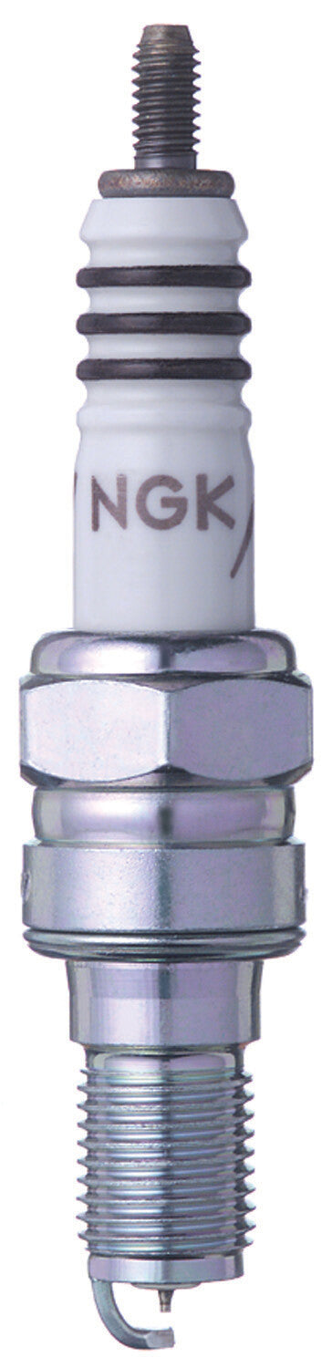 NGK Spark Plug (1)