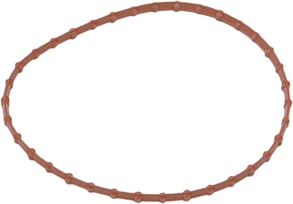 HARDDRIVE Fuel Pump Door Gasket