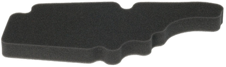 HIFLOFILTRO Air Filter