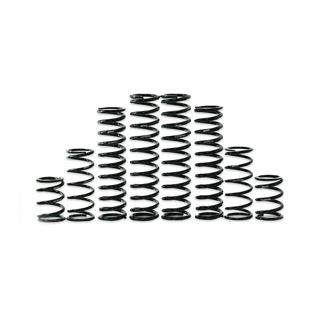 ZBROZ Dual Rate Spring Kit