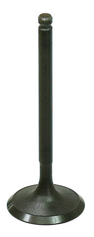 NAMURA Intake Valve