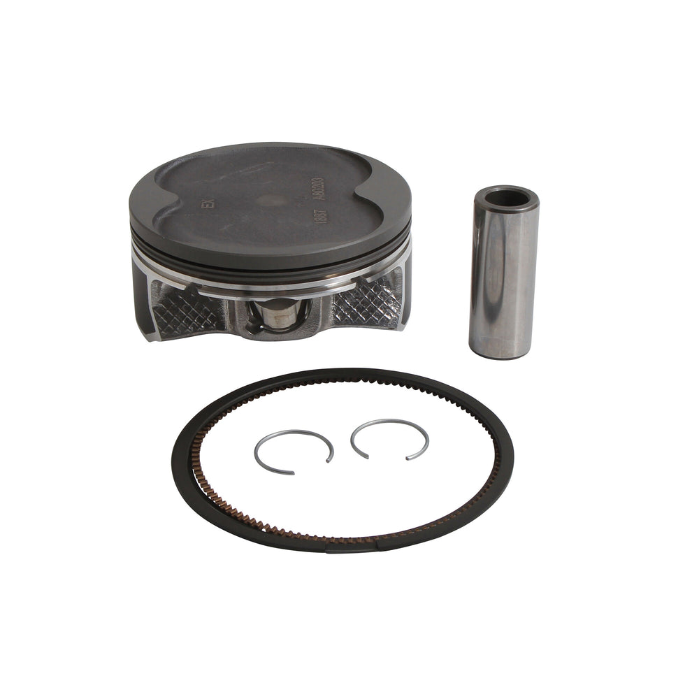 VERTEX Piston Kit (1)