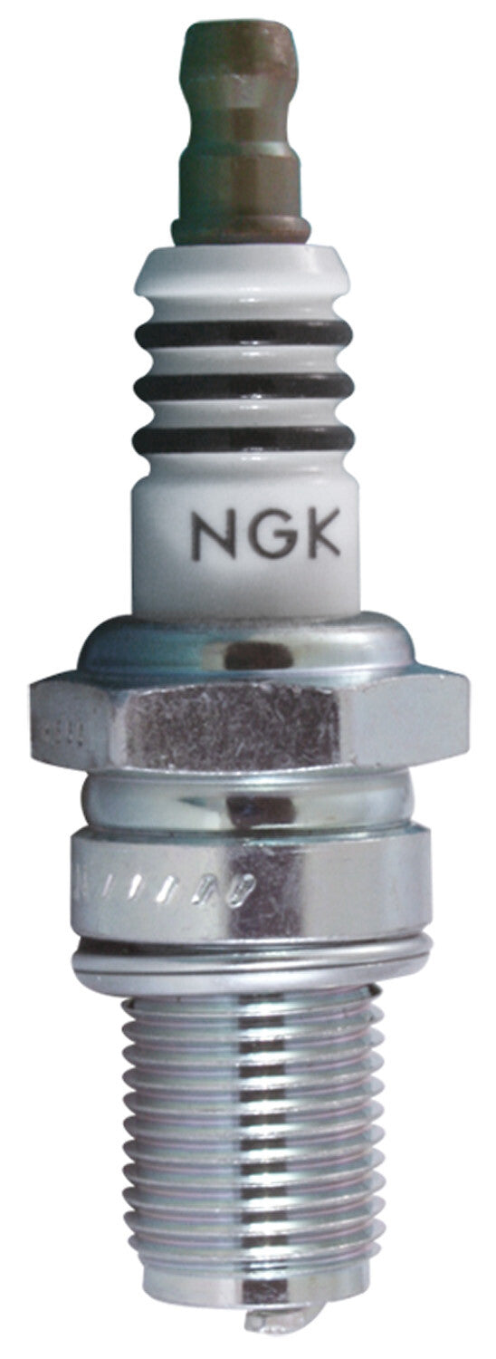 NGK Spark Plug (1)