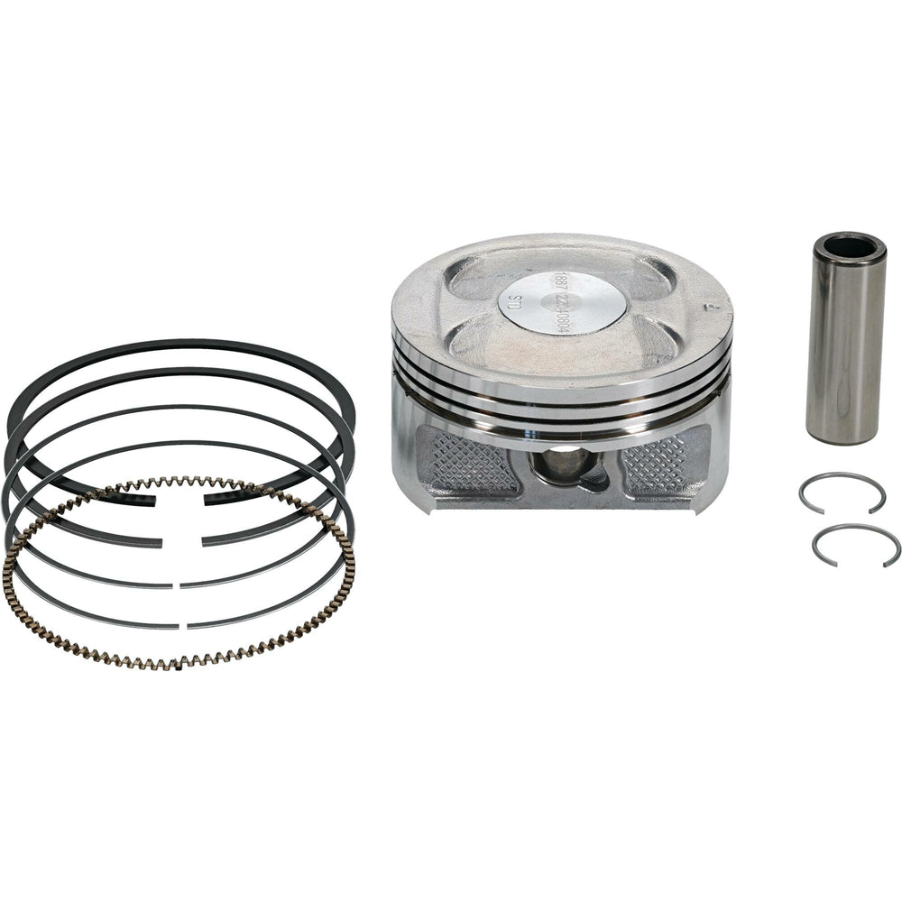VERTEX Piston Kit (1)