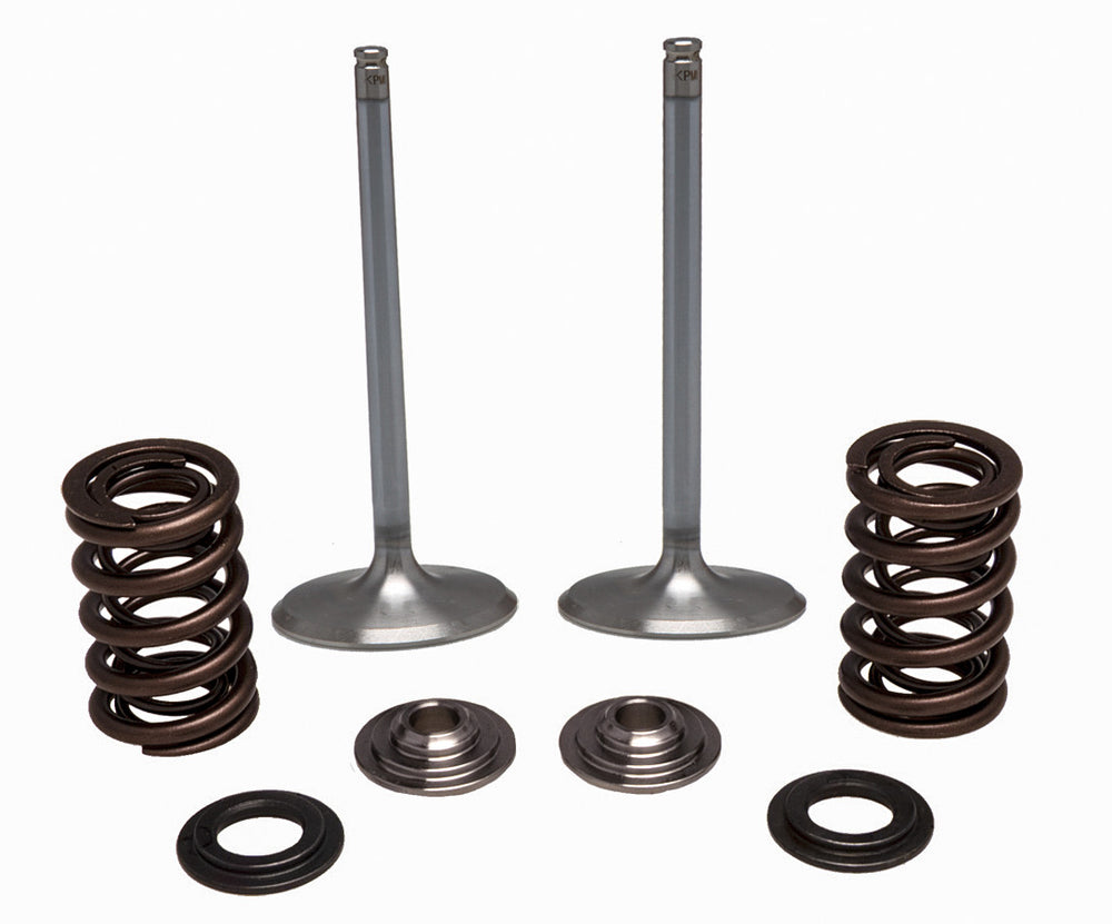 KPMI Intake Valve Spring Kit