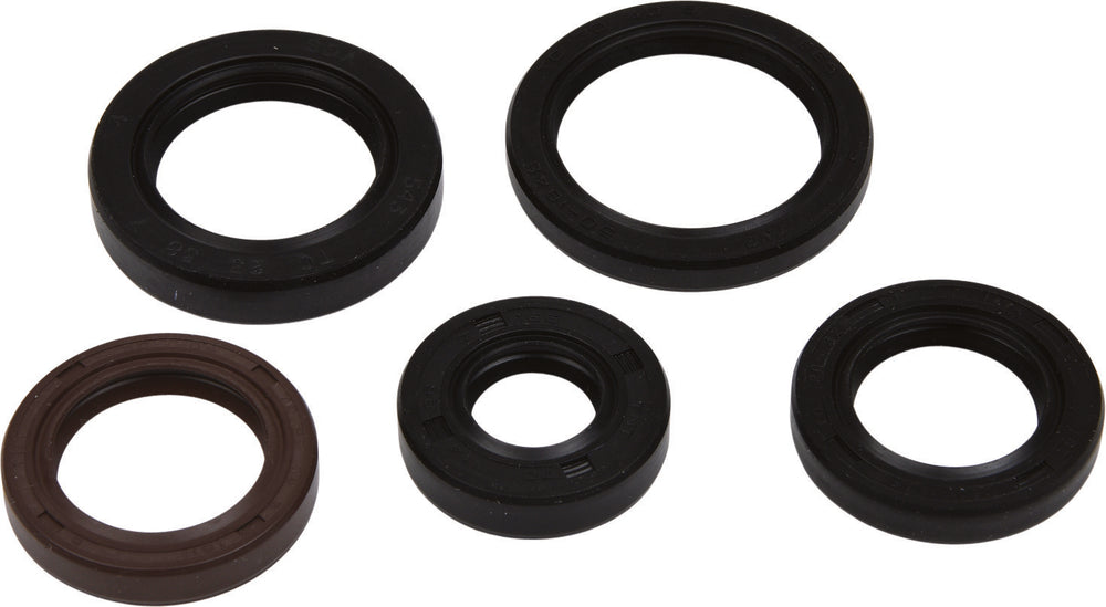 VERTEX Oil Seal Set