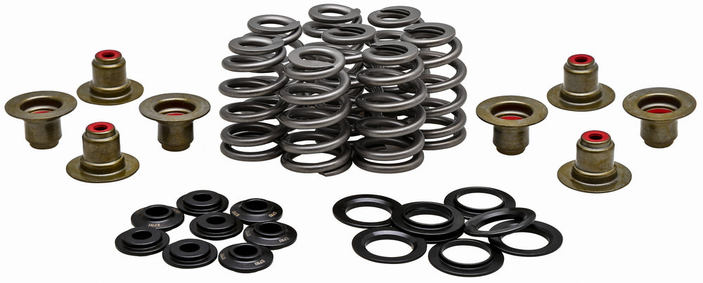 KPMI Valve Spring Kit